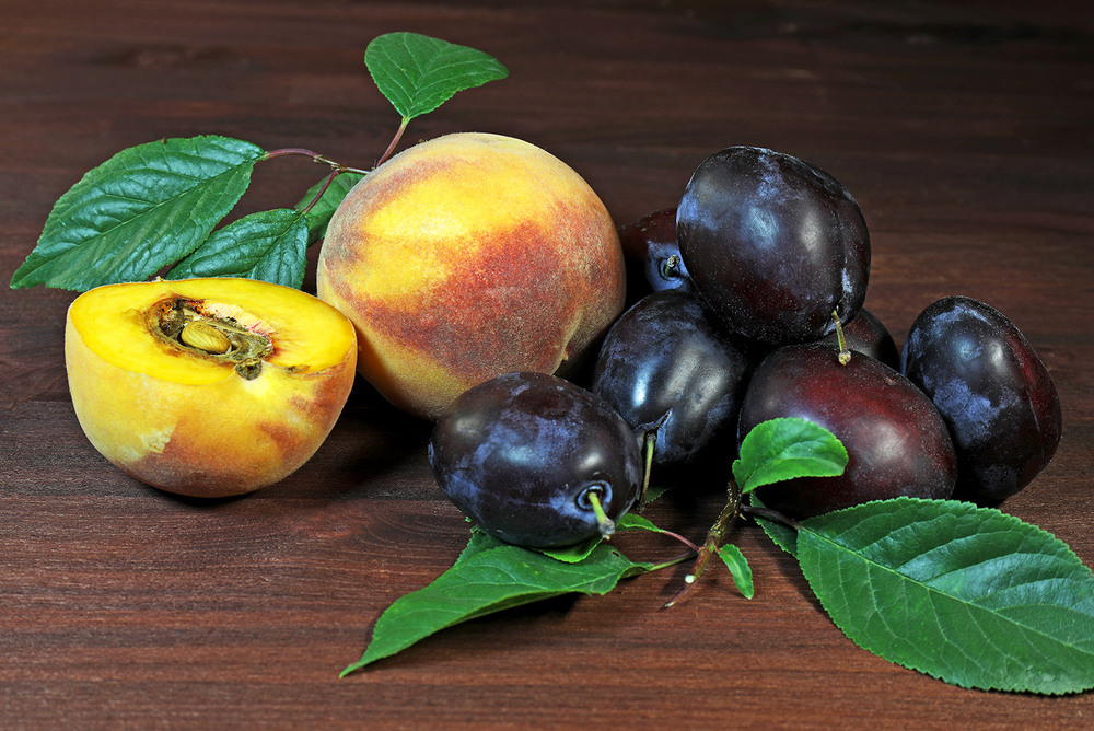 Фотографія Смакота! / Алекс Сергіїв / photographers.ua