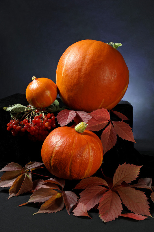 Фотографія Гарбуз - господар на городі, його шанують у народі ... / Алекс Сергіїв / photographers.ua