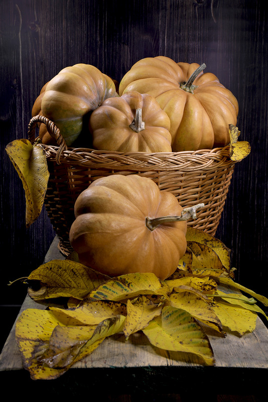 Фотографія Ця рослина жовтопуза називається ГАРБУЗОМ, з нього мати варить кашу на усю сімейку нашу / Алекс Сергіїв / photographers.ua