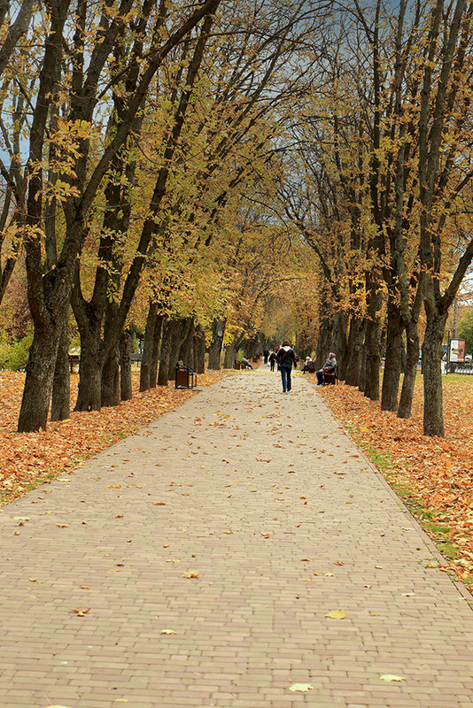 Фотографія Каштани падають на брук: тук-тук, тук-тук, тук-тук, тук-тук... / Алекс Сергіїв / photographers.ua
