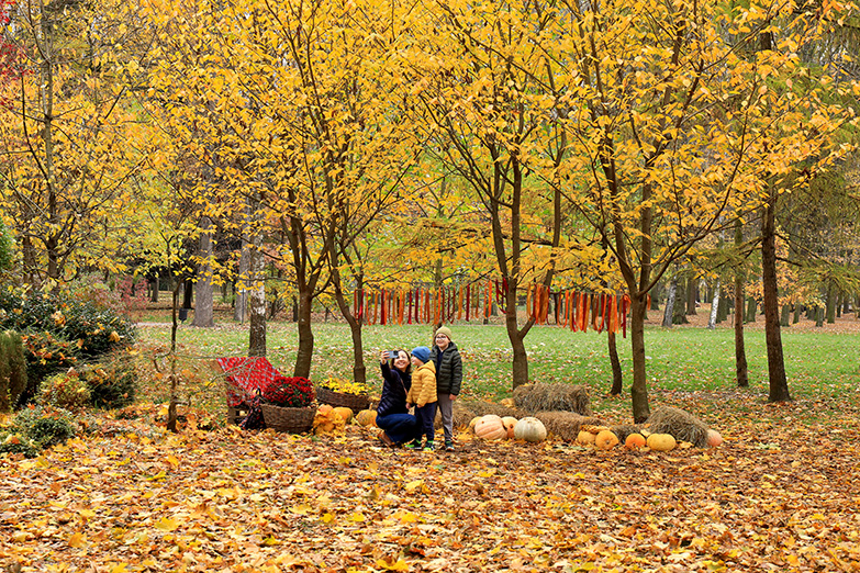 Фотографія На згадку про осінь / Алекс Сергіїв / photographers.ua