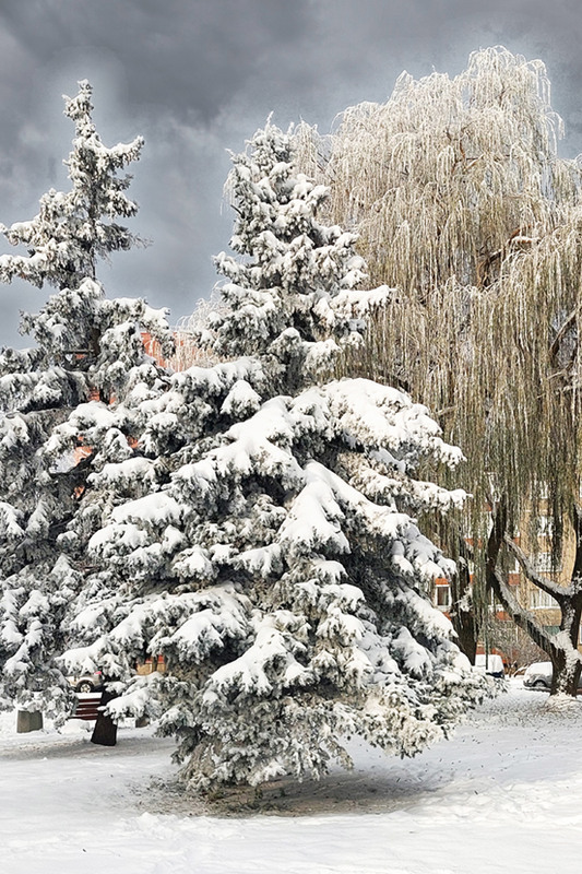 Фотографія Після хуртовини / Алекс Сергіїв / photographers.ua