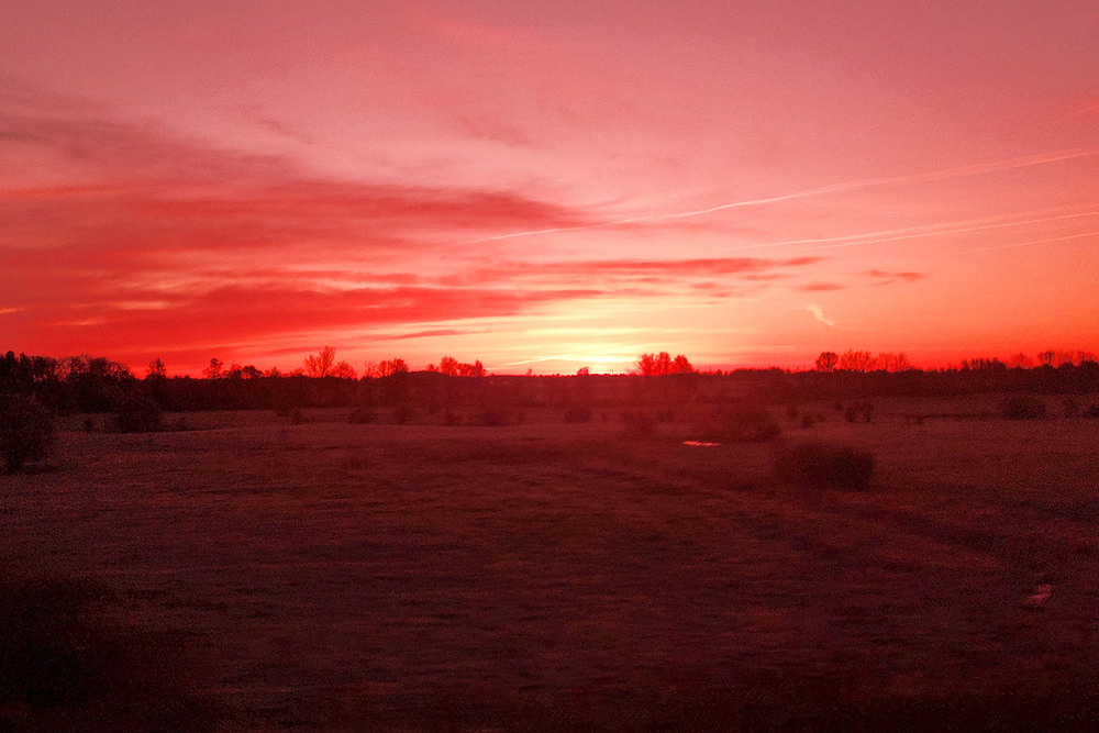 Фотографія Світає, край неба палає; Соловейко в темнім гаї сонце зустрічає ... / Алекс Сергіїв / photographers.ua