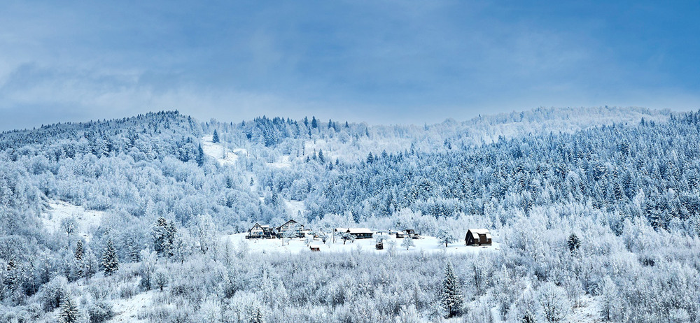 Фотографія Карпатська фантазія / Алекс Сергіїв / photographers.ua