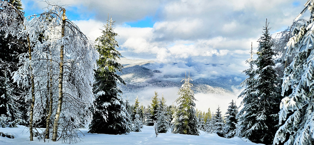 Фотографія Карпатська зима / Алекс Сергіїв / photographers.ua