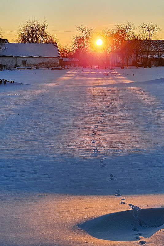 Фотографія Червоний захід - до сильних морозів / Алекс Сергіїв / photographers.ua