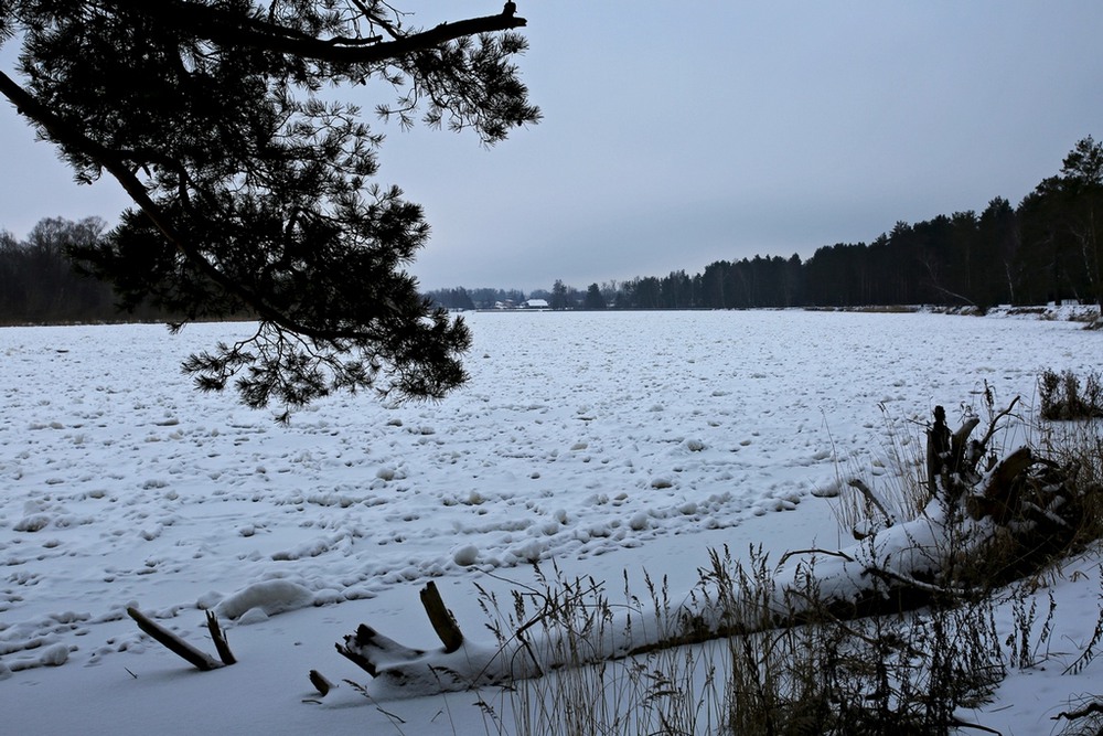 Фотографія Краски зимы / Алекс Сергіїв / photographers.ua