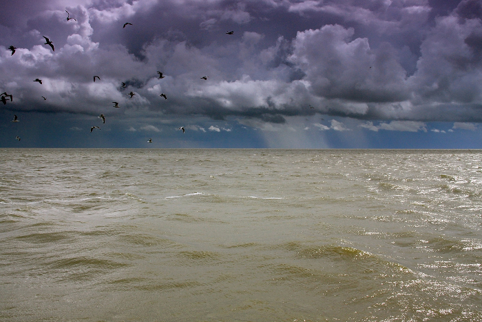 Фотографія Непогода над Куршским заливом / Алекс Сергіїв / photographers.ua