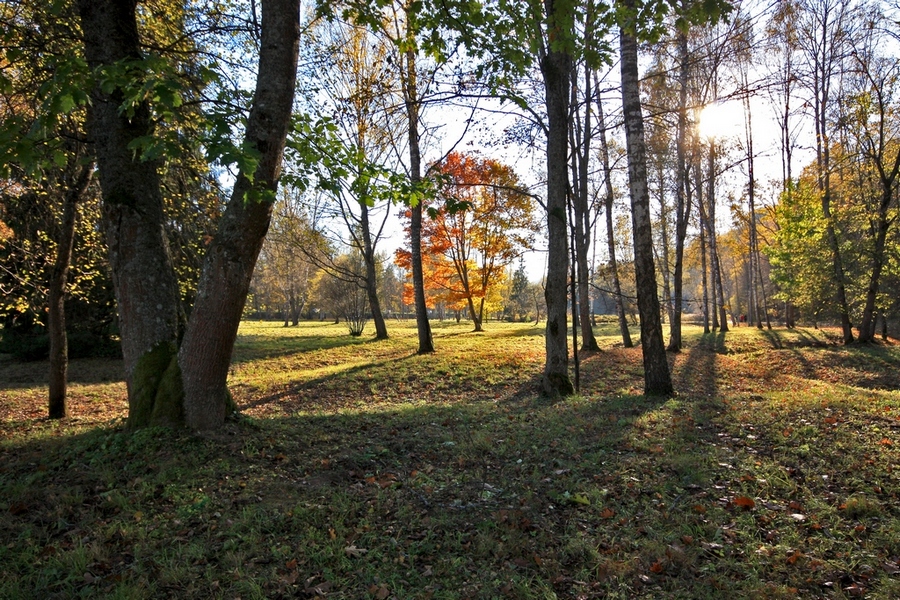 Фотографія Осень в Сигулде / Алекс Сергіїв / photographers.ua