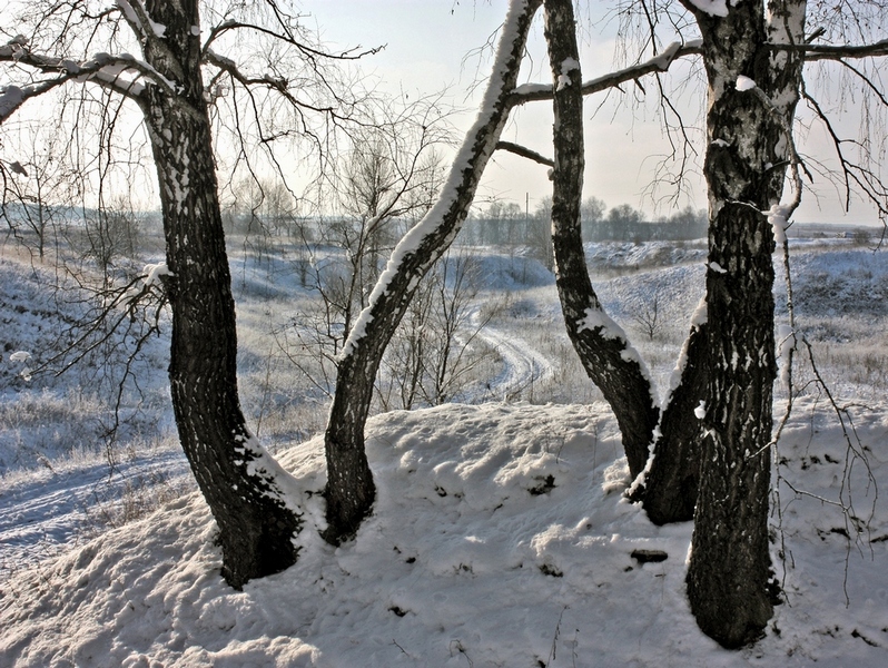 Фотографія Добридень, зимо! / Алекс Сергіїв / photographers.ua