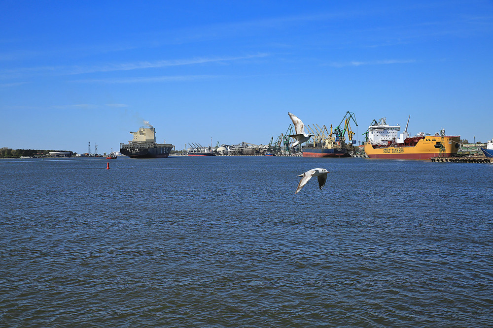 Фотографія Кораблям не спится в порту, им снятся моря, им снятся ветра.... / Алекс Сергіїв / photographers.ua