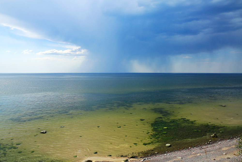 Фотографія Ці літні дощі... / Алекс Сергіїв / photographers.ua