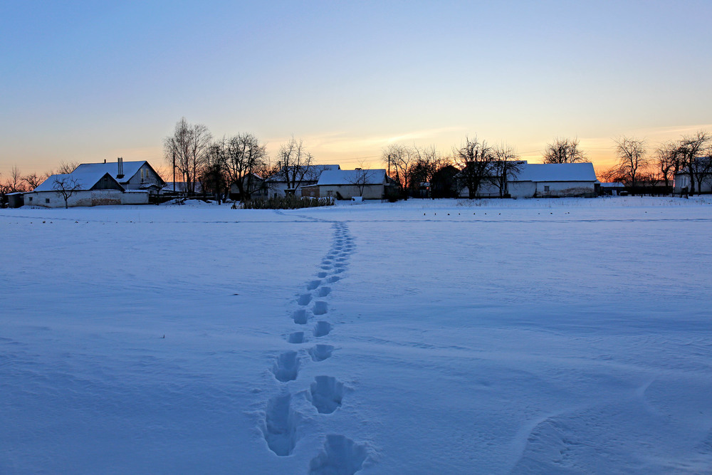 Фотографія Зимовий вечір в селі / Алекс Сергіїв / photographers.ua