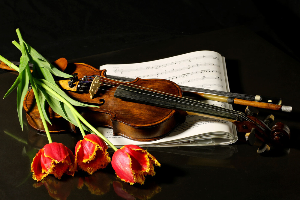 Фотографія Недоспівана пісня, як скрипка, що зриває від серця струну ... / Алекс Сергіїв / photographers.ua