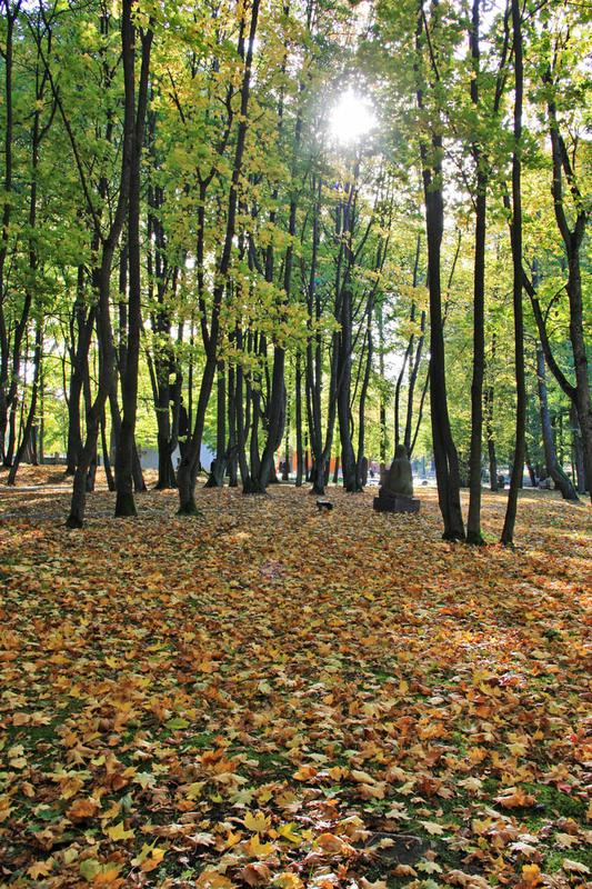 Фотографія Ходить осінь листопадом, жовте листя стелить садом ... / Алекс Сергіїв / photographers.ua