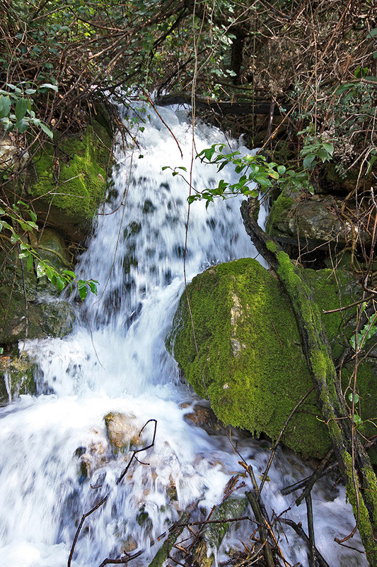 Фотографія Як зійдуть сніги із гір потоками, ой глибокими, навесні ... / Алекс Сергіїв / photographers.ua