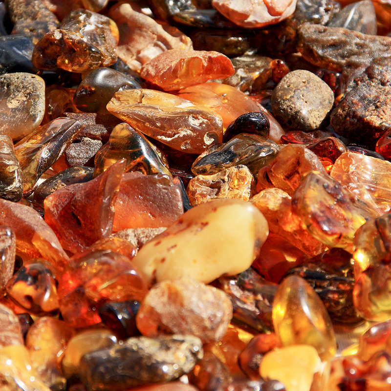 Фотографія Янтар - золото Литви / Алекс Сергіїв / photographers.ua