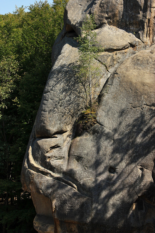 Фотографія І на Марсі будуть яблуні цвісти ... / Алекс Сергіїв / photographers.ua