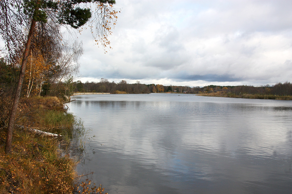 Фотографія Осінь на Гауї / Алекс Сергіїв / photographers.ua
