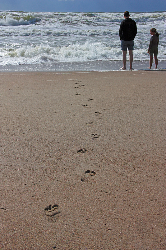Фотографія До побачення,  літо... / Алекс Сергіїв / photographers.ua