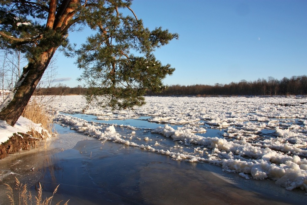 Фотографія Річка сховалась - була і нема: замурувала річку зима ... / Алекс Сергіїв / photographers.ua