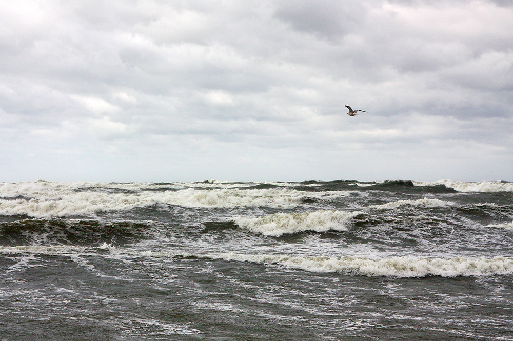 Фотографія Сива Балтика / Алекс Сергіїв / photographers.ua