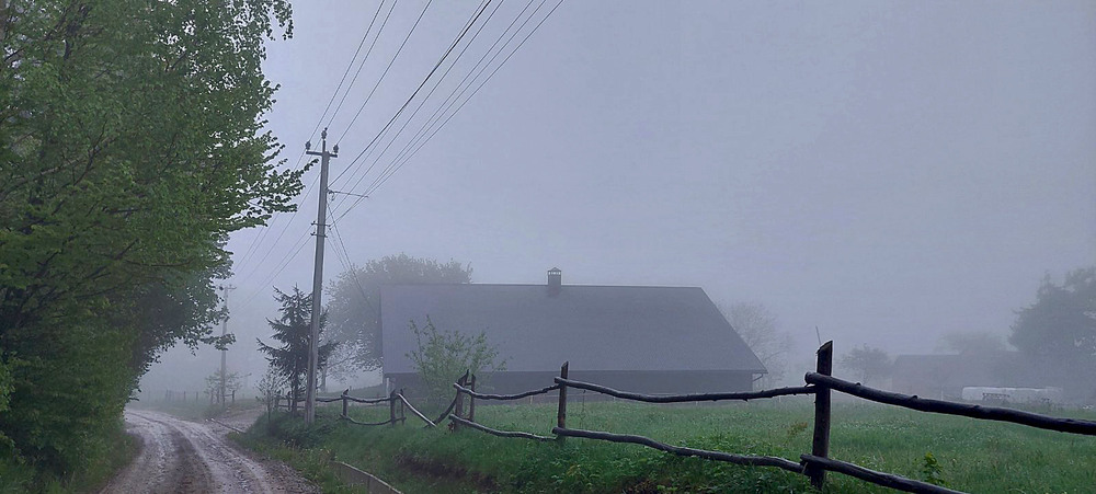 Фотографія За туманом нічого не видно, тільки видно дуба зеленого.... / Алекс Сергіїв / photographers.ua