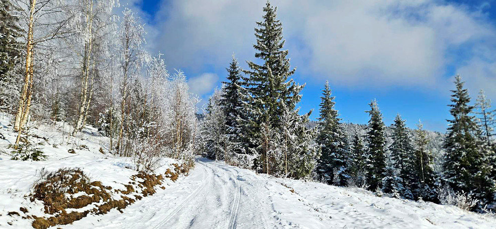 Фотографія "Я їду додому, до тебе додому, де очі знайомі і завжди нові..." / Алекс Сергіїв / photographers.ua