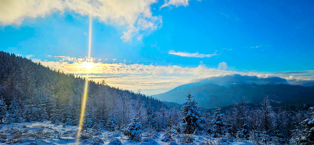 Фотографія Зірка на ім"я Сонце / Алекс Сергіїв / photographers.ua