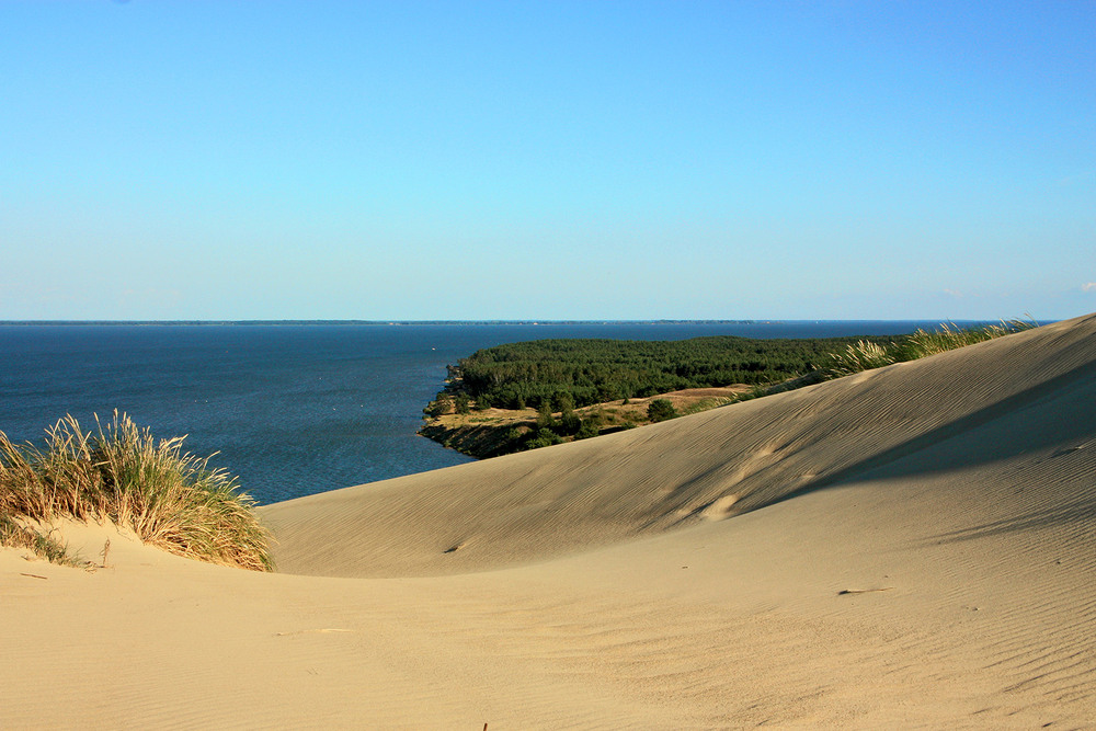 Фотографія Куршська затока. Куршська коса. Мертві дюни. / Алекс Сергіїв / photographers.ua
