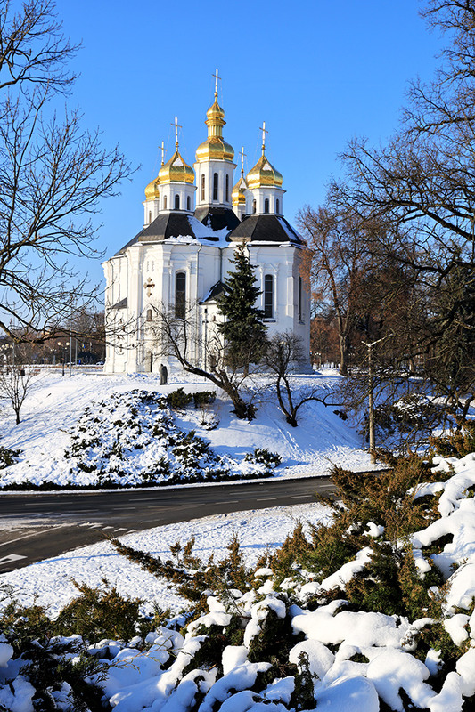 Фотографія Зима в Чернігові. Кафедральний собор Святої Великомучениці Катерини / Алекс Сергіїв / photographers.ua