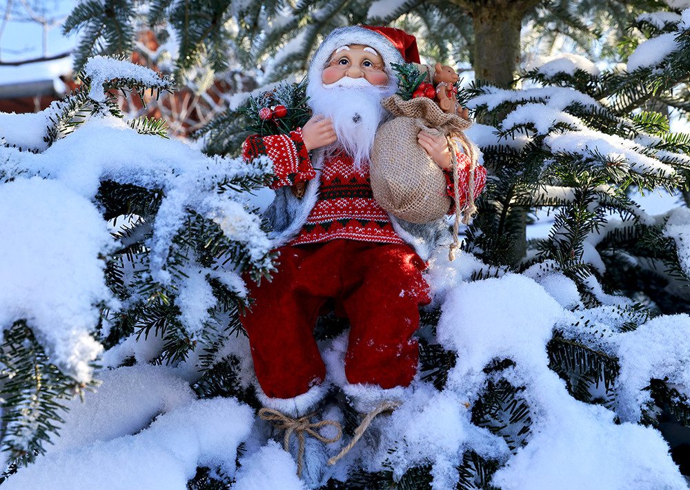 Фотографія Санта Клаус, до побачення! / Алекс Сергіїв / photographers.ua