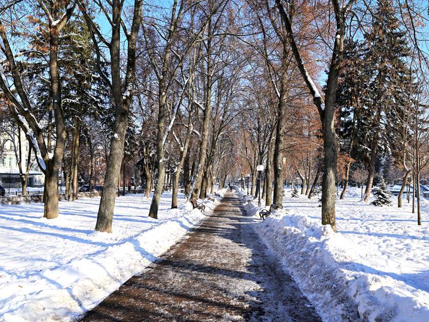 Фотографія Була в Чернігові зима ... / Алекс Сергіїв / photographers.ua