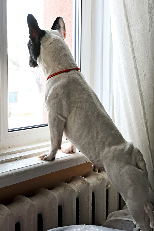 Фотографія Коли мами немає вдома / Алекс Сергіїв / photographers.ua