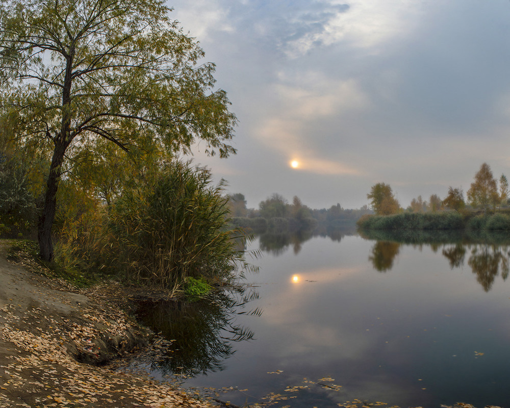 Фотографія Осень / Сергей Пономаренко / photographers.ua