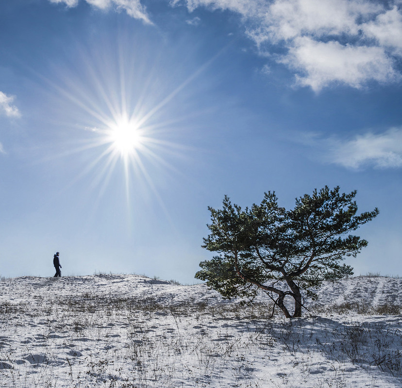 Фотографія Под ярким зимним солнцем / Сергей Пономаренко / photographers.ua