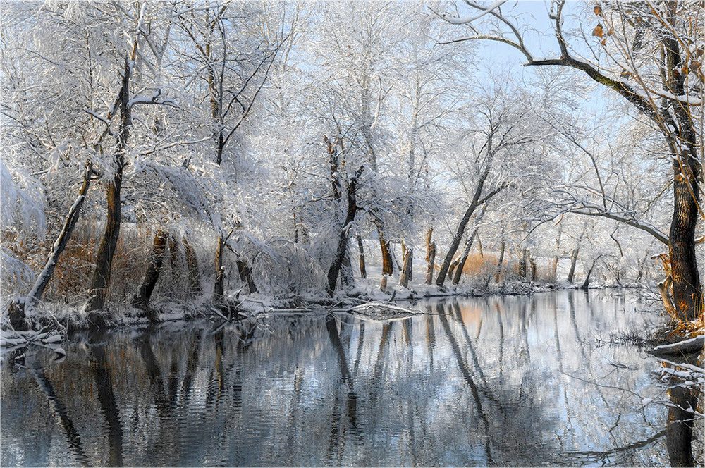 Фотографія В зимнем серебре / Сергей Пономаренко / photographers.ua