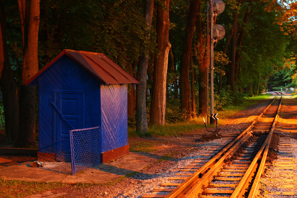Фотографія Дитяча залізниця в Стрийському парку / Лис Павло / photographers.ua