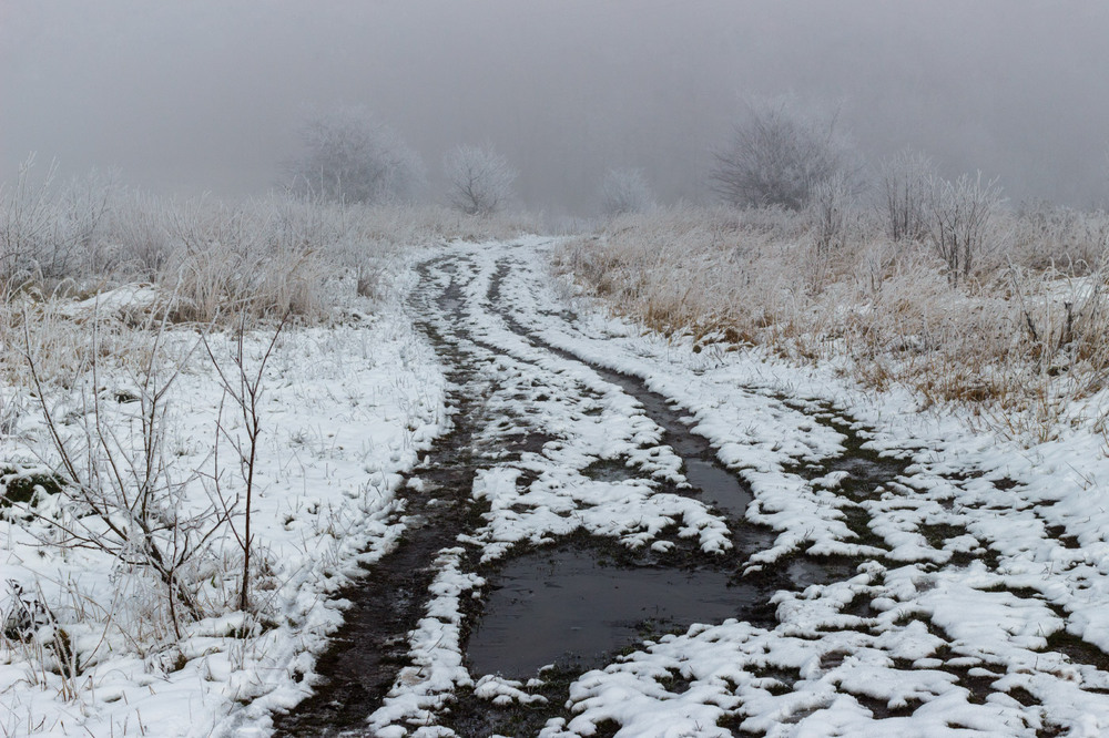 Фотографія Перший сніг / Лис Павло / photographers.ua