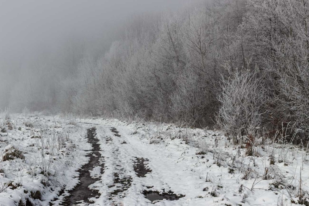 Фотографія Перший сніг / Лис Павло / photographers.ua