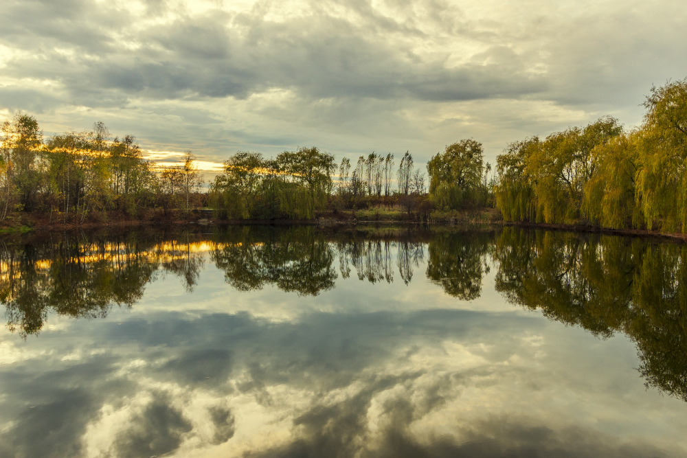 Фотографія Осіння симетрія / Лис Павло / photographers.ua