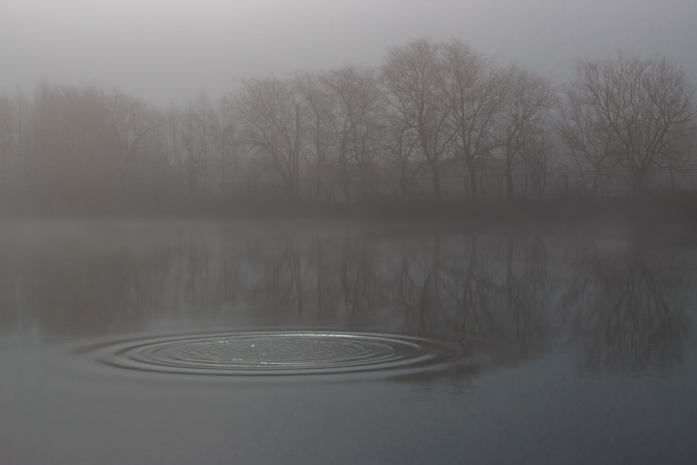Фотографія Туман над озером / Лис Павло / photographers.ua