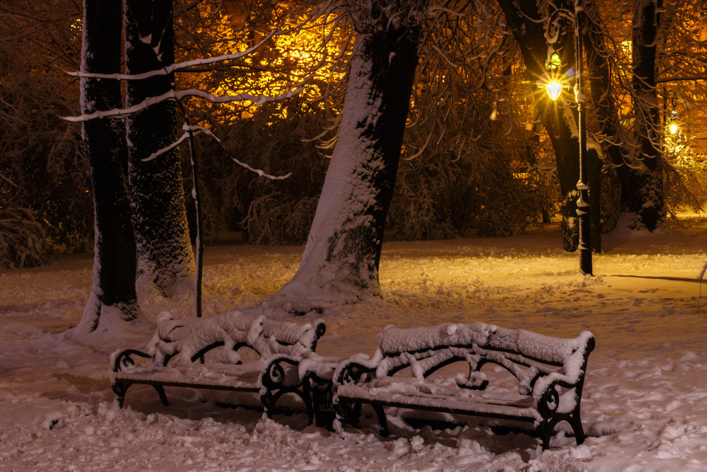 Фотографія Вечір у львівському парку / Лис Павло / photographers.ua
