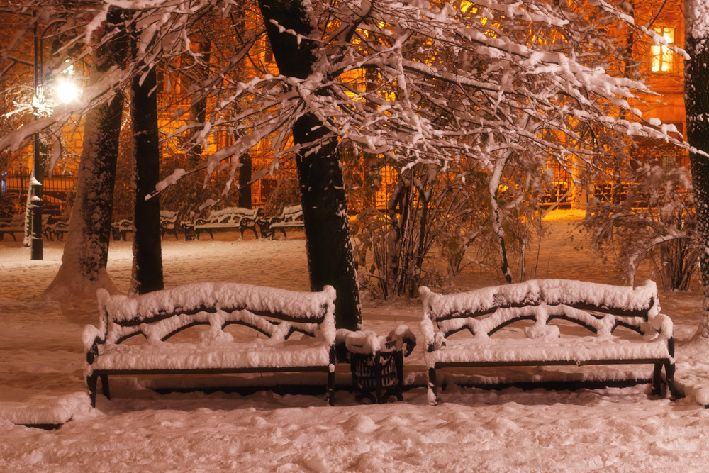 Фотографія Лавочки в зимовому парку / Лис Павло / photographers.ua