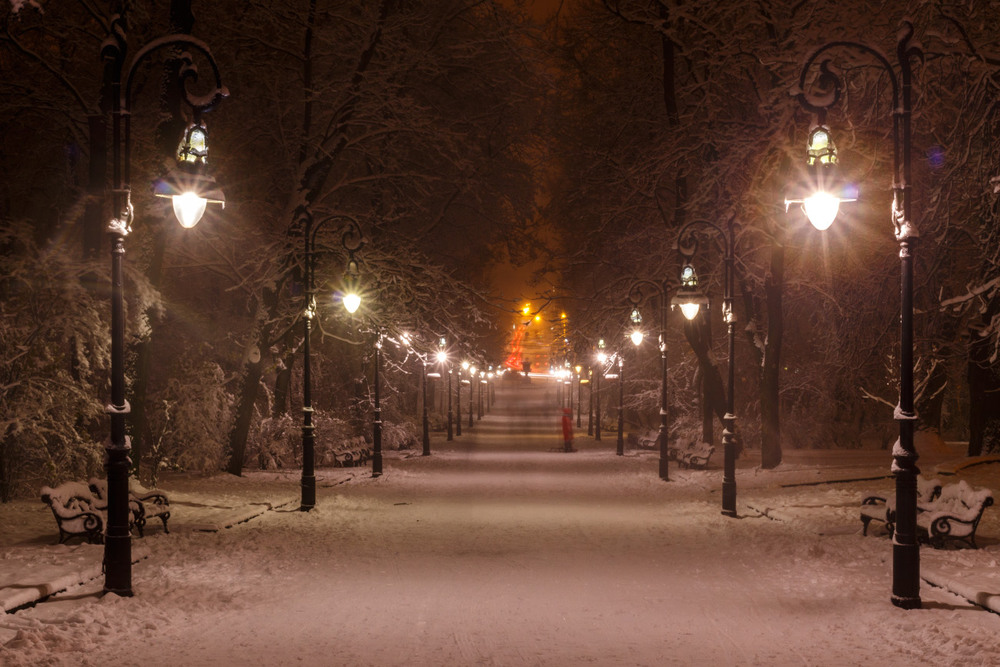 Фотографія Зима в парку Івана Франка / Лис Павло / photographers.ua