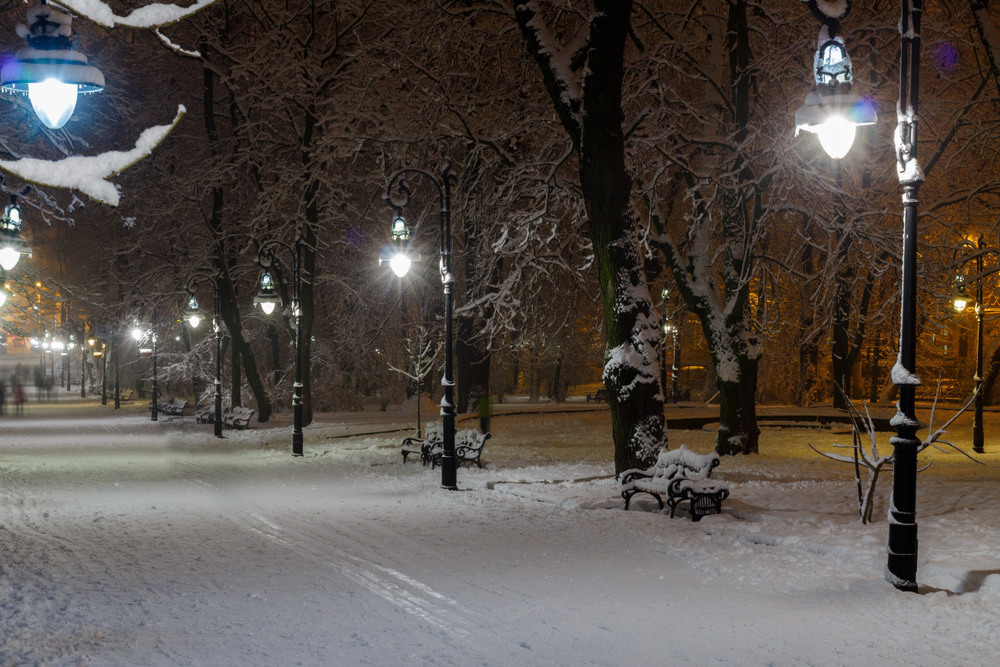 Фотографія Зимовий парк Івана Франка / Лис Павло / photographers.ua