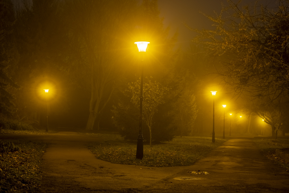 Фотографія Парк Боднарівка вночі / Лис Павло / photographers.ua