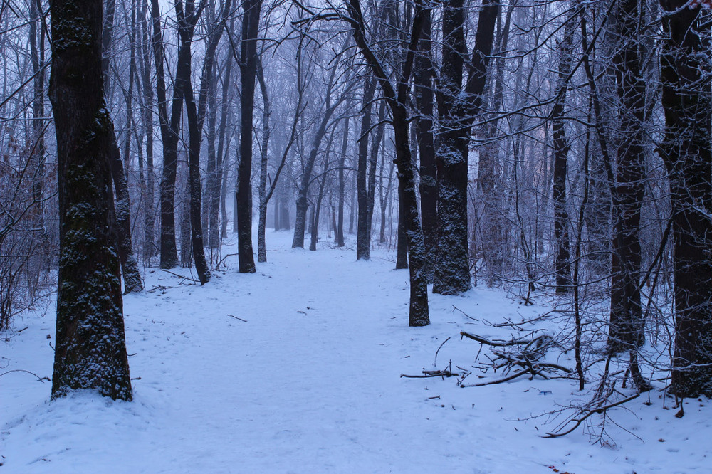 Фотографія Ще трішки зими / Лис Павло / photographers.ua
