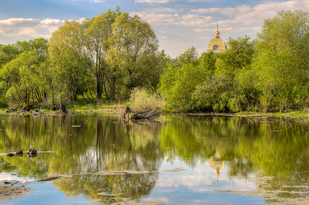 Фотографія Озеро весною / Лис Павло / photographers.ua