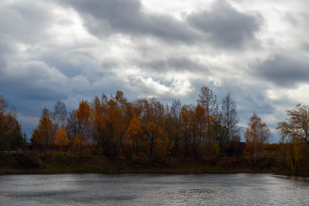 Фотографія Пізня осінь / Лис Павло / photographers.ua